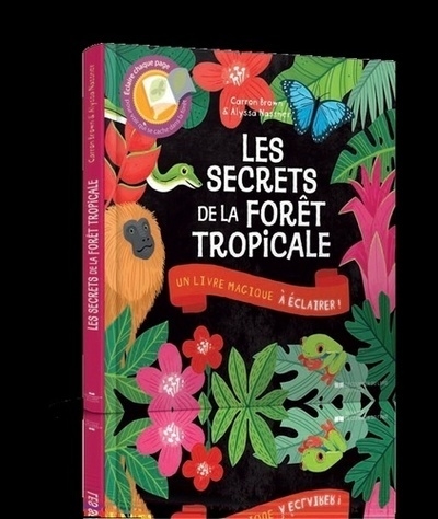 Les secrets de la forêt tropicale - un livre magique à éclairer - Image principale