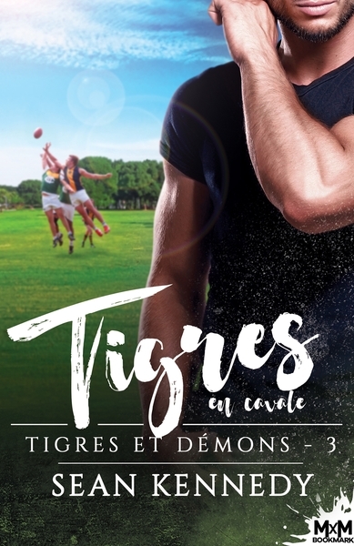Tigres en cavale - Image principale