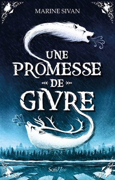 Une promesse de givre - Image principale
