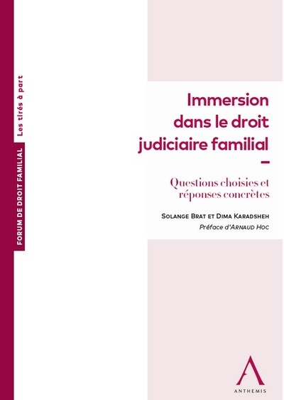 Immersion dans le droit judiciaire familial - Image principale