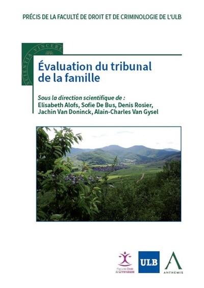 Évaluation du tribunal de la famille - Image principale