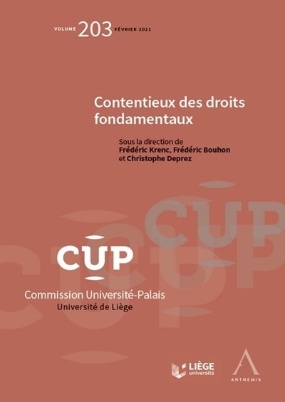 Contentieux des droits fondamentaux - Image principale