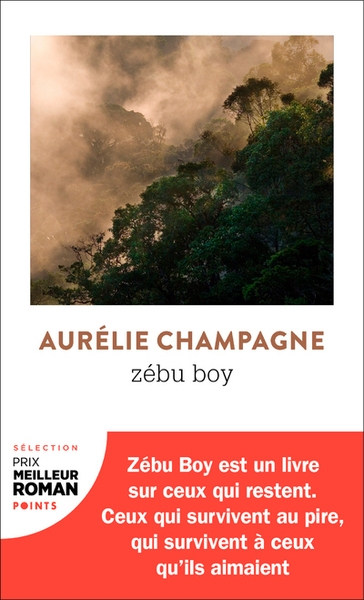 Zébu boy - Image principale