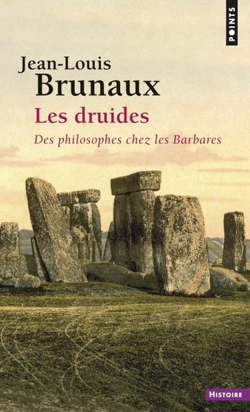 Les druides - Image principale