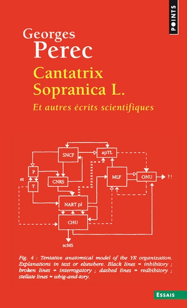 Cantatrix sopranica l. - Image principale