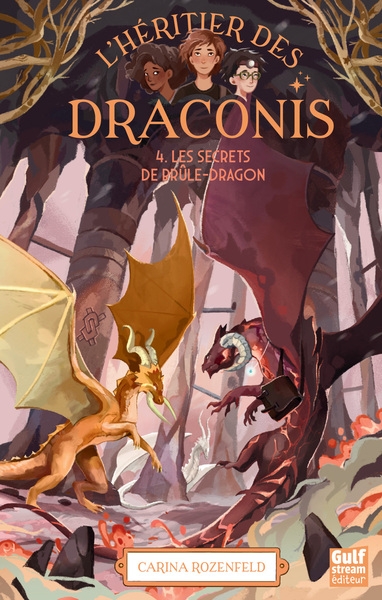 L'héritier des draconis - nouvelle édition - tome 4 les secrets de brûle-dragon - Image principale