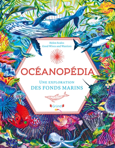 Oceanopedia - Image principale
