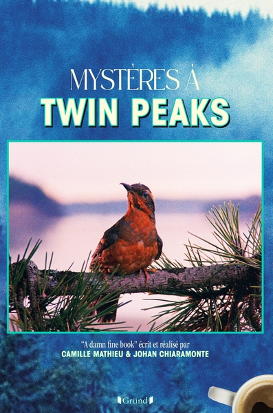Mystères à twin peaks - Image principale