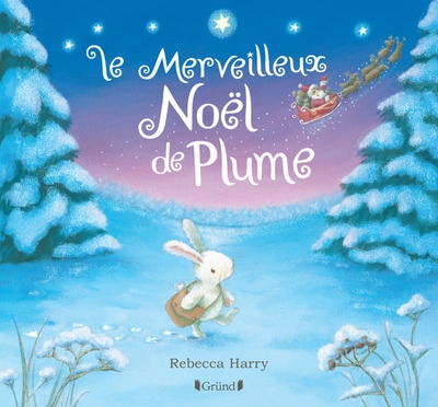 Le merveilleux noël de plume - Image principale