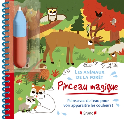 Pinceau magique - les animaux de la forêt - Image principale