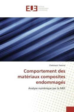 Comportement des matériaux composites endommagés - Image principale