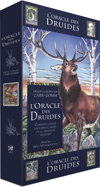 L'oracle des druides - Image principale