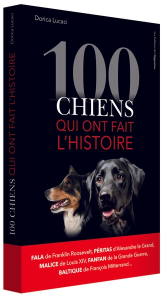 100 chiens qui ont fait l'histoire - Image principale