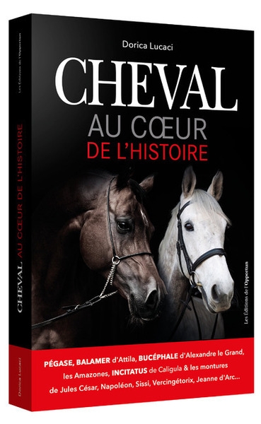 Cheval au coeur de l'histoire - Image principale
