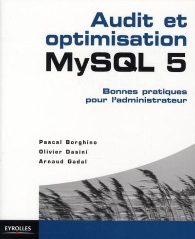 Audit et optimisation mysql 5 - Image principale