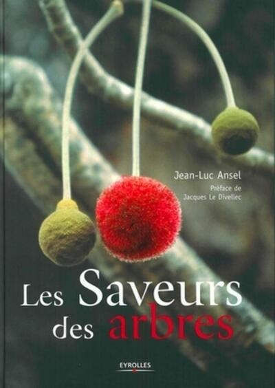 Les saveurs des arbres - Image principale