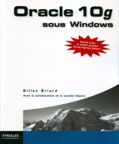 Oracle 10g sous windows - Image principale