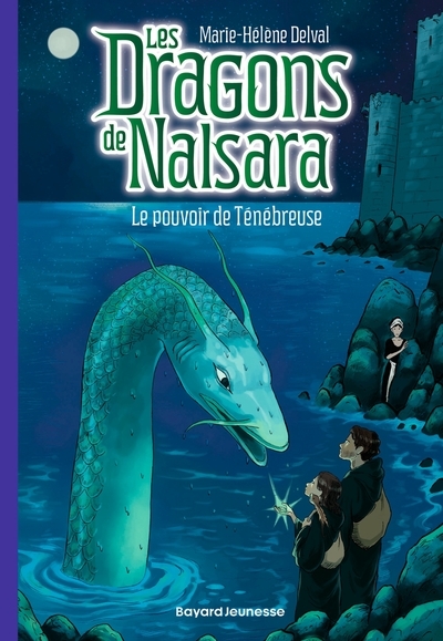 Les dragons de nalsara, tome 19 - Image principale