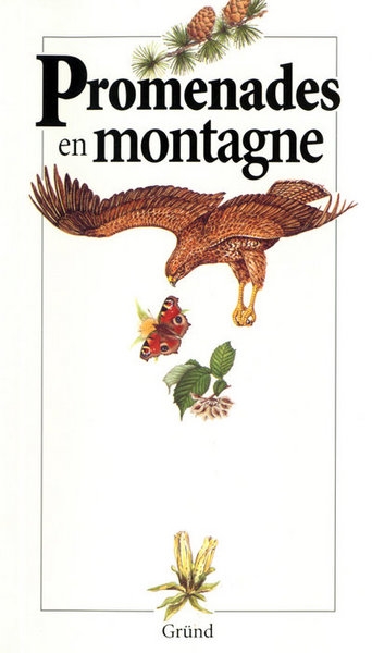 Promenades en montagne - Image principale