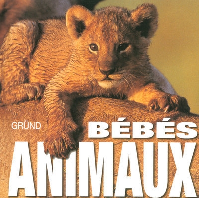 Bébés animaux - Image principale