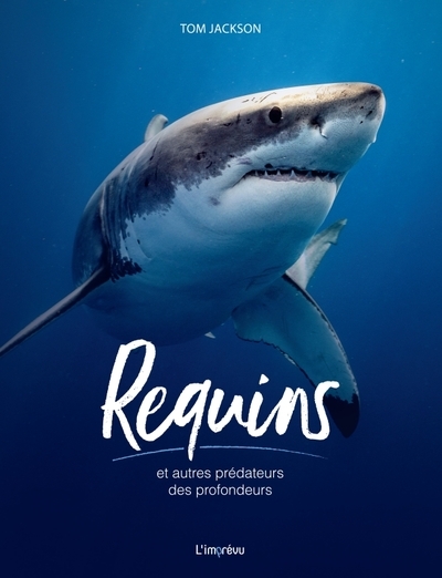 Requins et autres prédateurs des profondeurs - Image principale