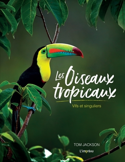 Les oiseaux tropicaux - Image principale