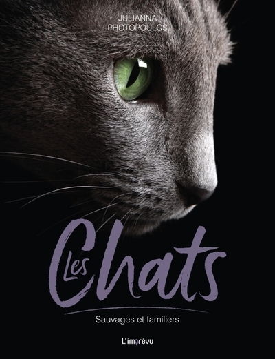 Les chats - Image principale