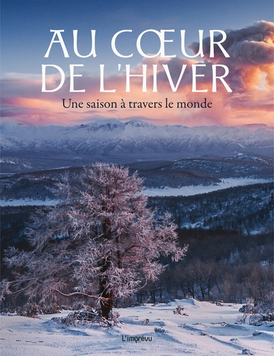 Au coeur de l'hiver - Image principale