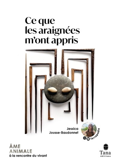 Ce que les araignées m'ont appris - Image principale