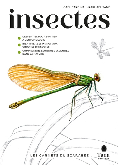 Les carnets du scarabée - insectes - Image principale