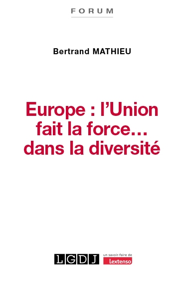 Europe : l'union fait la force... dans la diversité - Image principale