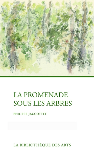 La promenade sous les arbres - Image principale