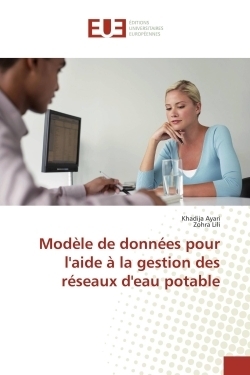 Modèle de données pour l'aide à la gestion des réseaux d'eau potable - Image principale