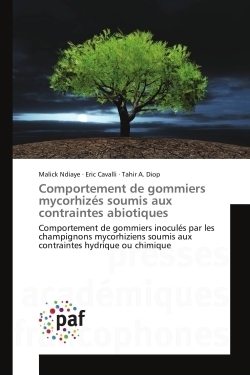 Comportement de gommiers mycorhizés soumis aux contraintes abiotiques - Image principale