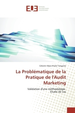 La problématique de la pratique de l'audit marketing - Image principale