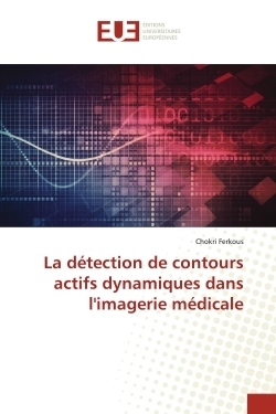 La détection de contours actifs dynamiques dans l'imagerie médicale - Image principale
