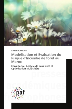 Modelisation et evaluation du risque d'incendie de foret au maroc - Image principale