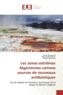 Les zones extrêmes algériennes comme sources de nouveaux antibiotiques - Image principale