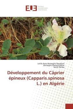 Développement du câprier épineux (capparis.spinosa l.) en algérie - Image principale