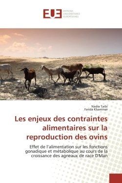 Les enjeux des contraintes alimentaires sur la reproduction des ovins - Image principale