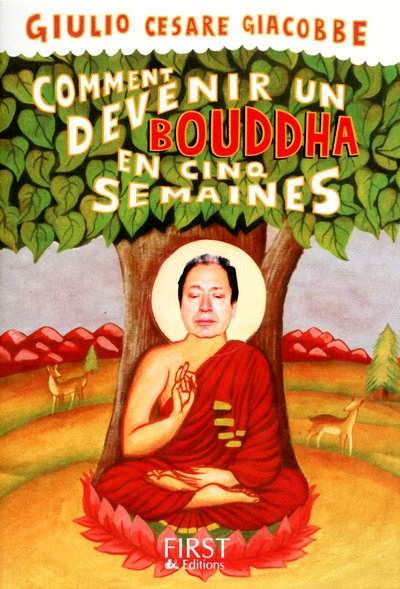 Comment devenir bouddha en cinq semaines - Image principale