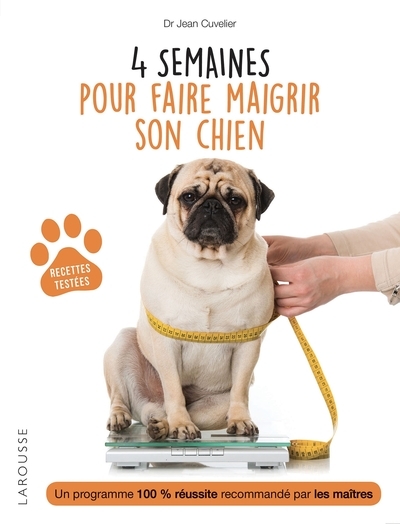 4 semaines pour faire maigrir son chien - Image principale