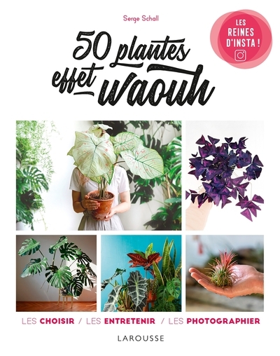 50 plantes effet waouh - Image principale