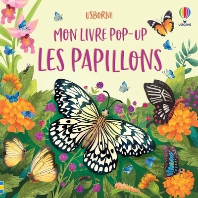 Les papillons - mon livre pop-up - Image principale