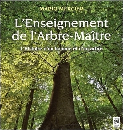 L'enseignement de l'arbre-maître - l'histoire d'un homme et d'un arbre - Image principale