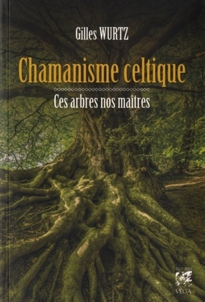 Chamanisme celtique - ces arbres nos maîtres - Image principale