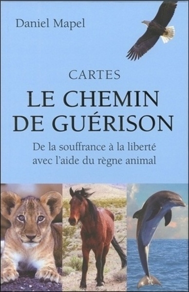 Cartes le chemin de guérison - Image principale
