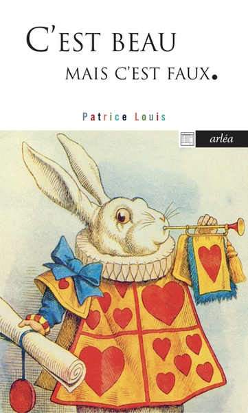 C'est beau mais c'est faux - Image principale