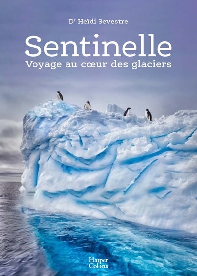 Sentinelle, voyage au coeur des glaciers - Image principale