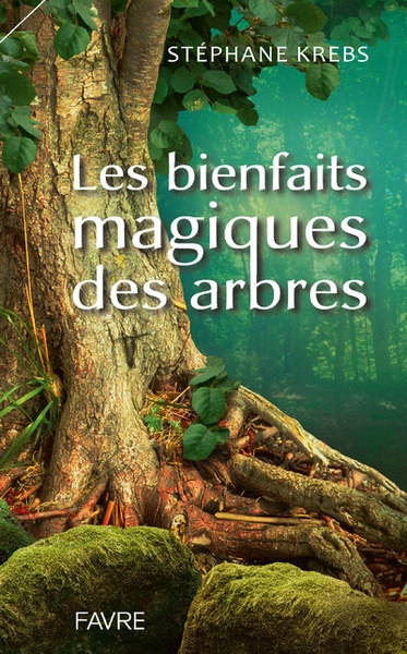 Les bienfaits magiques des arbres - Image principale